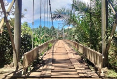  2 Desa Berharap Pemkab Mukomuko Perbaiki Jembatan Gantung Lapuk dan Rusak  
