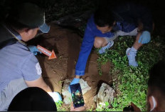 Janin Bayi Laki-laki Ditemukan Terkubur di Kebun Karet, Orangtua Akui Hasil Hubungan Bukan Suami Istri 