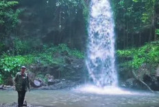 Pesona Tersembunyi di Banyuwangi! Berikut 6 Fakta Air Terjun Jambe Rowo