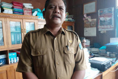 Kekurangan Pupuk Capai 3.308 Ton di Bengkulu Utara, Dinas TPHP Tunggu Keputusan Tambahan Kuota