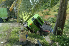 Patah As, Fuso Bermuatan Batu Bara Terguling