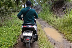 Jalan Desa Ulak Lebar Rusak Parah, Warga Desa Minta Segera Diperbaiki