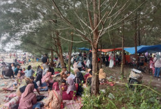 Kades Harapkan Pantai Cemara Indah Turun Status Jadi TWA, Potensi PAD Cukup Tinggi