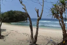 Menyimpan Sebuah Permata Tersembunyi! Berikut 4 Fakta Pantai Banteng Mati di Blitar