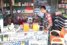 Harga Pupuk Kembali Naik, Petani Gunakan Pupuk Organik