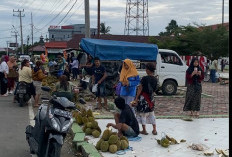 Rusak Pemandangan, Pemkab Seluma Larang Berjualan Durian di Alun Alun Tais