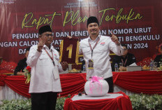 Pilkada Bengkulu Utara, Ari Nomor Urut 1, Kotak Kosong Nomor Urut 2