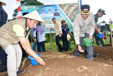 DBH Sawit untuk Pengembangan Perkebunan dan Infrastruktur 