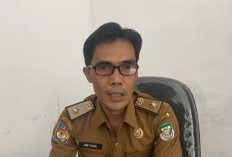  Pemilih Pemula Seluma Capai 11.289 Jiwa, Kesbangpol Upayakan Tekan Golput 