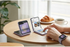 Samsung Dikabarkan Akan Merilis Galaxy Z Flip 8, Ini Bocoran Fitur dan Inovasinya