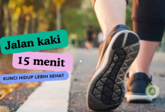 Jalan Kaki 15 Menit, Kunci Sederhana Hidup Lebih Sehat