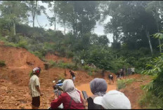 Jalan Lintas ke Ulu Talo Tertutup Longsor, BPBD Seluma Lakukan Pembersihan
