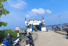 Terbuka Lebar Peluang BUMD Ikut Proyek Keruk Alur Pelabuhan Pulau Baai