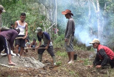 Tidak Diperhatikan Pemerintah, Desa Semelako Atas Perbaiki Sendiri Jalan Kabupaten