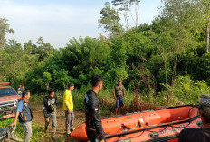 Tim SAR Ditambah, Tubuh Pemancing Arjun Hermansyah Warga Pinang Raya Bengkulu Utara Tenggelam Belum Ditemukan
