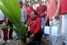 Peringati HUT RI, Pemkot Bengkulu Tanam 1.000 Pohon Kelapa di Sepanjang Pesisir Pantai 