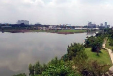 Destinasi Wisata Keluarga yang Instagramable! Berikut 5 Fakta Menarik Tentang Waduk Ria Rio di Jakarta Timur