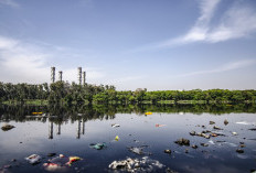 5 Sungai Paling Tercemar di Dunia, Salah Satunya Masih Dipakai Buat Mandi