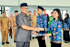 Pemkab Bengkulu Tengah Buka Seleksi Penerimaan CPNS, Tegaskan Jangan Percaya Calo CPNS