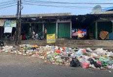 Masih Banyak TPS Liar di Kota Bengkulu