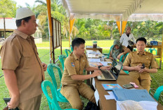 Pendaftar Seleksi CPNS di Bengkulu Selatan Masih Minim, Baru 62 Peserta