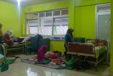 Waspada Ledakan DBD, 242 Kasus Menempatkan Mukomuko Urutan Ke 4  Provinsi Bengkulu 