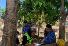 Proyek Jembatan Dihentikan Sementara, Dinas PUPR Kota Bengkulu Segera Panggil Konsultan