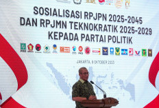 Maju-Mundur Revisi PKPU Pencapresan, Ketua KPU RI Bantah Berkunjung ke Istana   