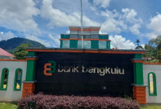 Pimpinan Bank Bengkulu Cabang Kepahiang Alami Laka Lantas, Begini Kondisinya 