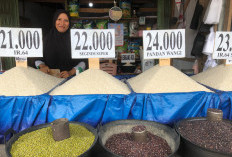 HET Naik Rp13.100 Per Kg, Antisipasi Beras SPHP Melonjak Lebih Tinggi di Bengkulu