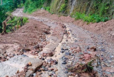 Pembangunan Jalan Desa Terisolir Sendang Mulyo Mukomuko hanya Diakomodir Segini