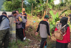 Kasus Melonjak, Pemda Bengkulu Utara Libatkan TNI dan Polri Tangani Soal Demam Berdarah Dengue 
