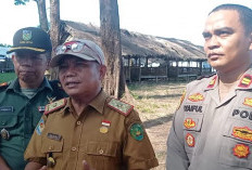 Penataan Kawasan Wisata Pantai Panjang Dikebut, Turunkan Alat Berat  Robohkan Lapak Liar