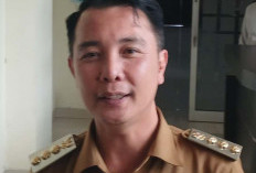 Pemkab Rejang Lebong Bakal Realisasikan Program Cetak Sawah 800 Hektare