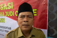 Pelantikan PPPK Digelar 2 Tahap, Dilaksanakan 22 dan 23 Juli 2025