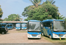 Dari Pada Terbengkalai, 10 Bus Trans Rafflesia Bakal Dihibahkan, Pemkab yang Mau, Silakan Bersurat ke Dishub