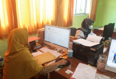 Peserta Seleksi PPPK Rejang Lebong Mencapai 1.262 Orang