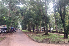 Pemprov Bengkulu Dahulukan Pembangunan Jogging Track di Taman Remaja