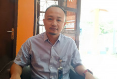 Harga Tengkulak Tinggi, Bulog Baru Serap 12,2 Ton Padi dan Jagung Petani 