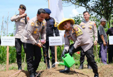 Peluncuran Lahan Pertanian, Polda Bengkulu Dukung Ketahanan Pangan, Total 276 Hektare Lahan Siap Tanam 