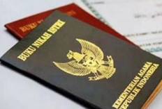 Angka Perceraian di Indonesia Tembus 463.654 Perkara, Tertinggi di Papua Terendah di NTT 