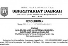 RESMI! Ini Nama Peserta yang Dinyatakan Lulus CPNS Kaur Formasi 2024 