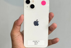 Kenapa Kamera iPhone Selalu Lebih Bagus dari Smartphone Lain? Ternyata Ini Rahasianya!