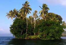 Destinasi Wisata Alam Terbaru! Berikut 4 Fakta Menarik Pulau Marisa di Danau Ranau