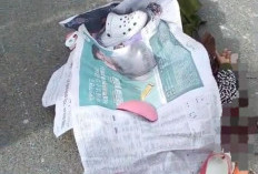 Sopir Truk Tangki Diamankan Usai Kecelakaan di Jalan RE Martadinata Kota Bengkulu 