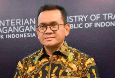 Catat Surplus Perdagangan 2024 Sebesar USD 31,04 Miliar