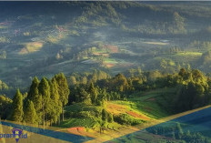 Kemisteriusan di Perbatasan Alam Gaib dan Hutan! Berikut 2 Fakta Mitos Pintu Rimba Gunung Kerinci
