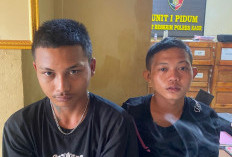 Dua Pencuri Mobil Asal Bengkulu Tengah Ditangkap Saat Beraksi di Kaur