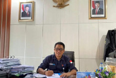 Stok Beras BULOG Bengkulu Aman, Harga Dijaga Stabil Awal 2026