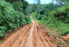 Jalan Rusak Parah Sulit Dilewati Kendaraan, Sudah Sering Diusulkan Untuk Diperbaiki